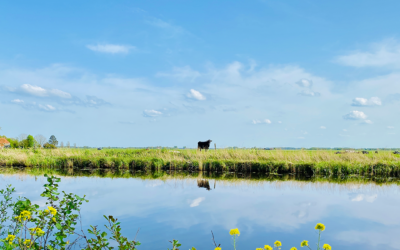 Ruimte om sneller te handelen bij kansen voor natuurnetwerk