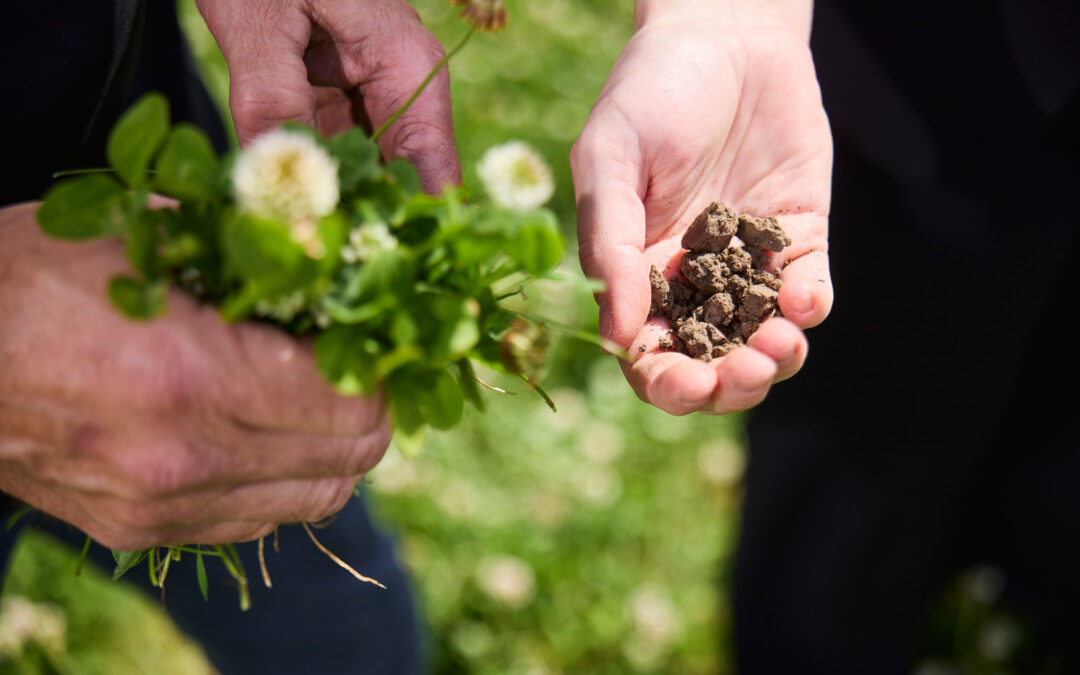 Samenwerking als sleutel tot succes: 16 hectare voor natuur bij Terherne