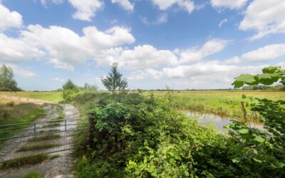 Gebiedsproces of burgerinitiatief starten? Samen aan de slag!