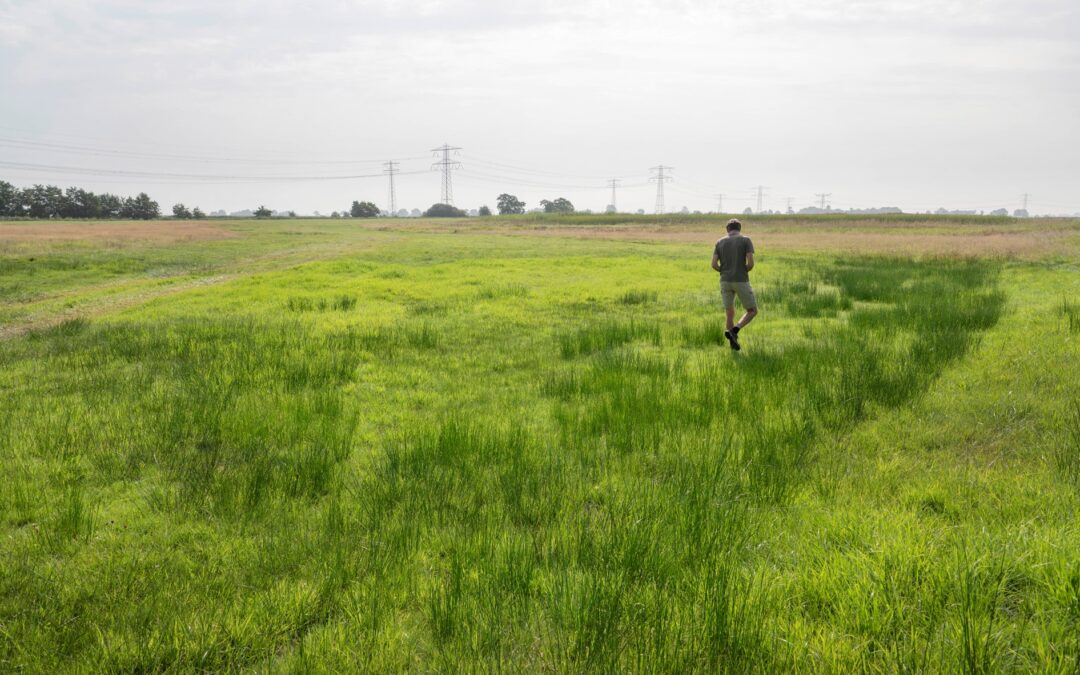 Particulier natuurbeheer